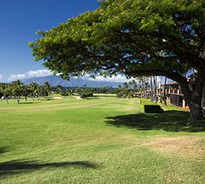kaanapali beach Attraction: West Maui Golf Resorts