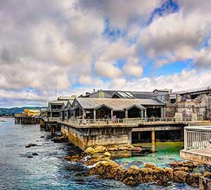 San Jose Attraction: Monterey Bay Aquarium