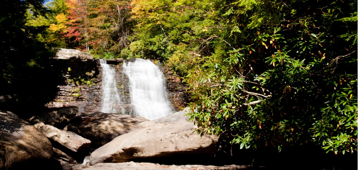 Appreciate Nature at the Swallow Falls State Park