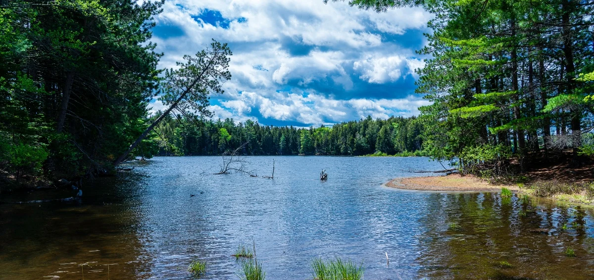 Have a Fun-Filled day at the Moosehead Lake