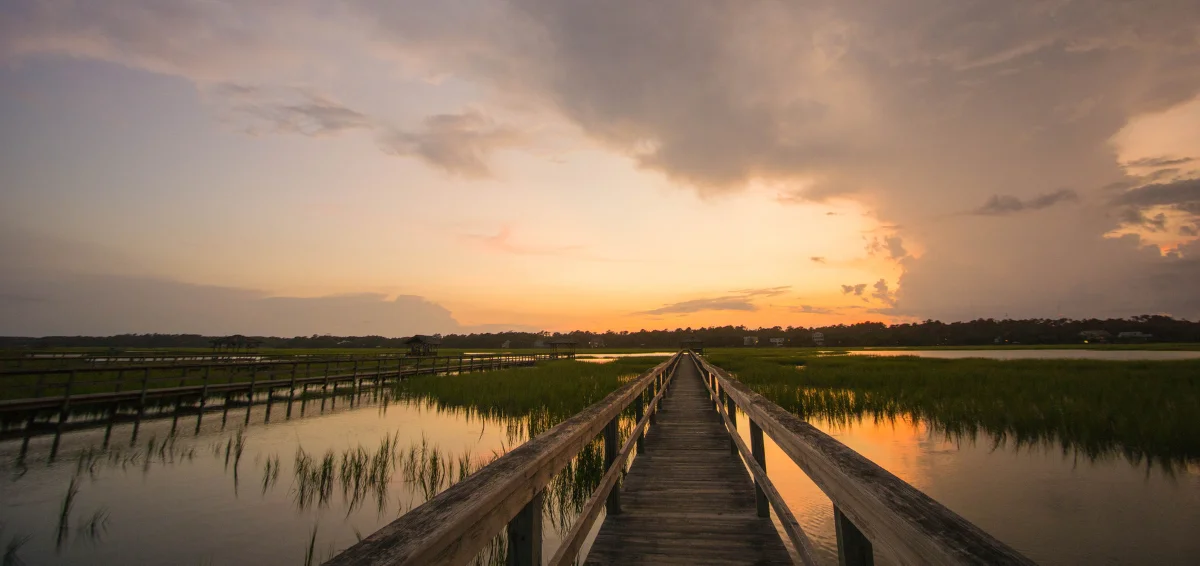 Pawley’s Island