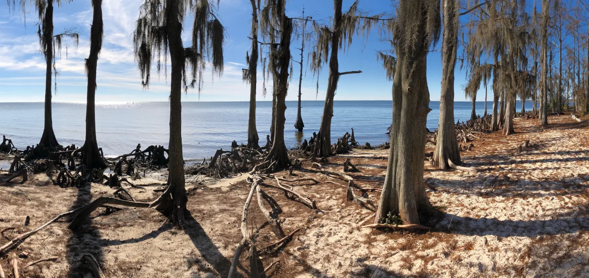 Beaches Along the Fontainebleau State Park