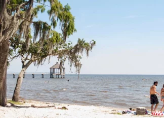 Beaches in Louisiana