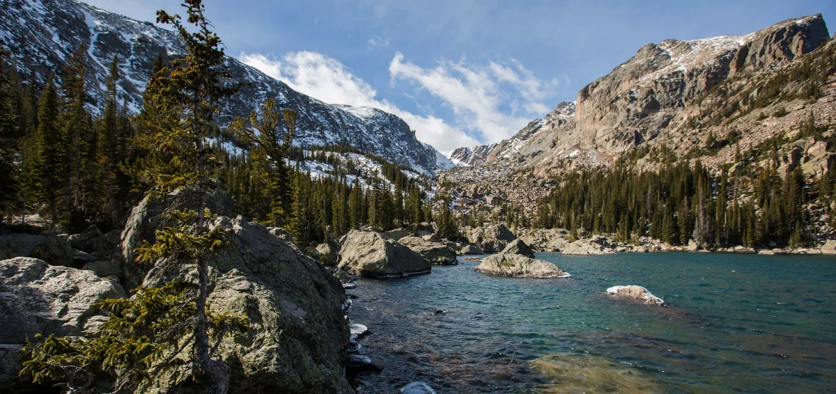 Elevate yourself to the lush and serene mountain forests of Rocky Mountain National Park
