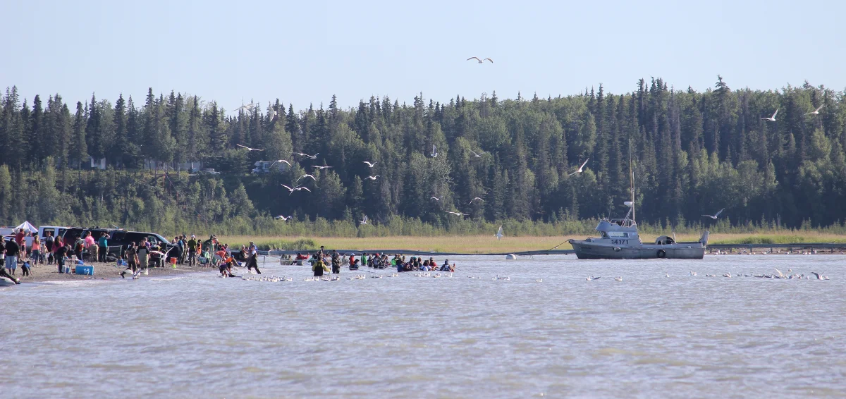 Kasilof River Beach