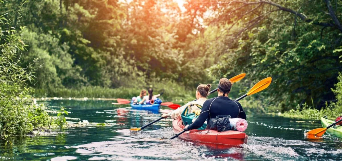 Kayak or paddle around to explore the beauty of the bay