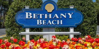 things to do in Bethany beach