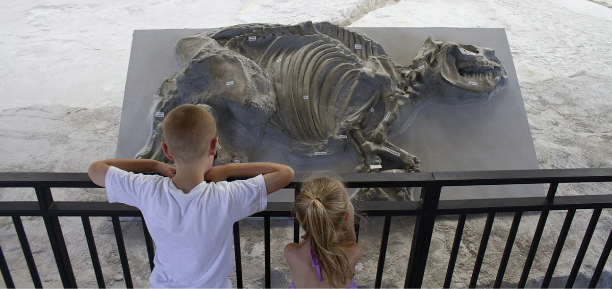 Ashfall Fossil Beds State Historical Park