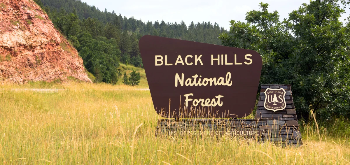 Black Hills National Forest