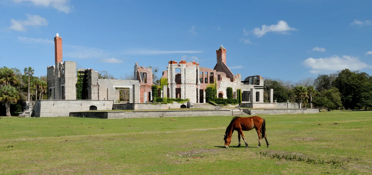 Cumberland Island, Georgia