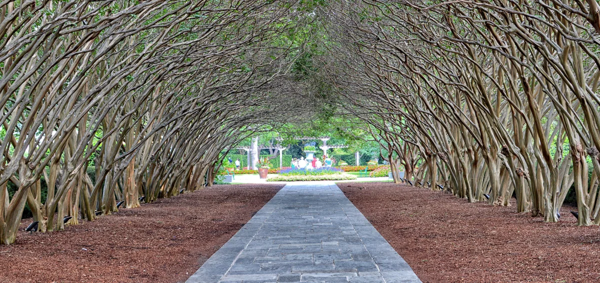 Dallas Arboretum