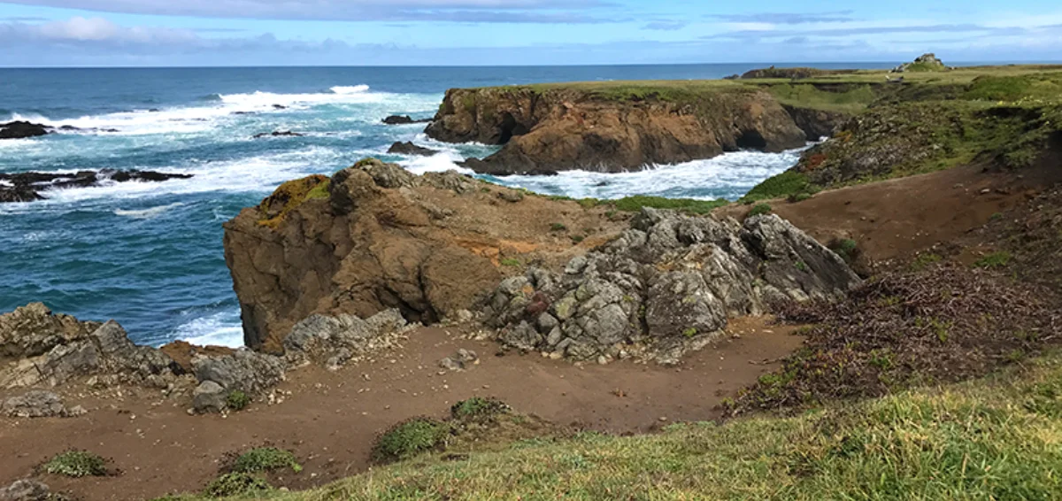 Discover Noyo Headlands Park