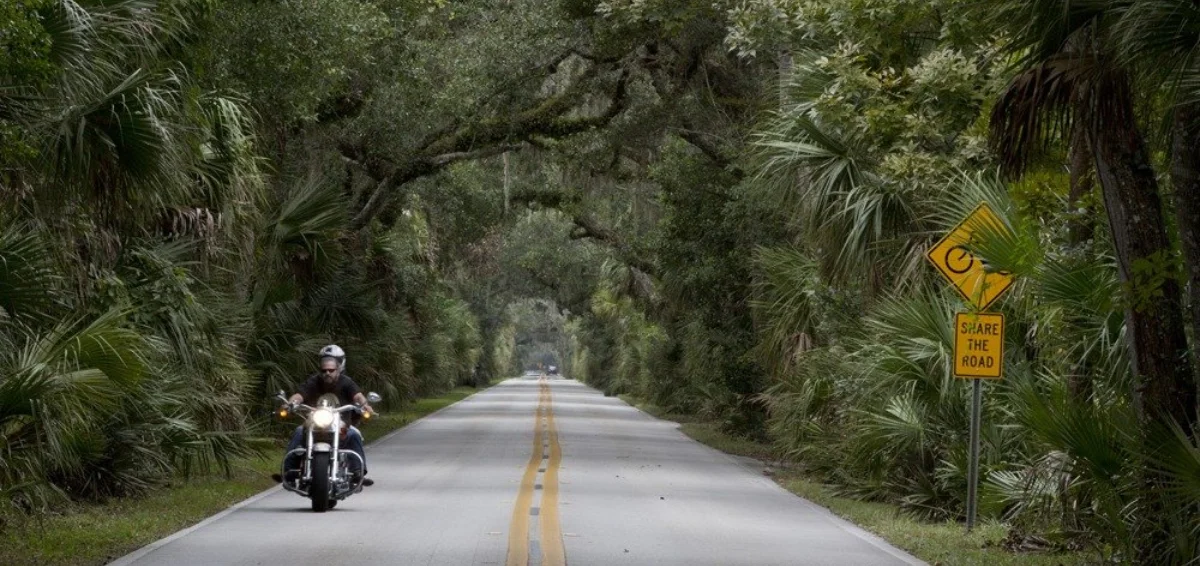 Drive along the Ormond Scenic and Loop Trail