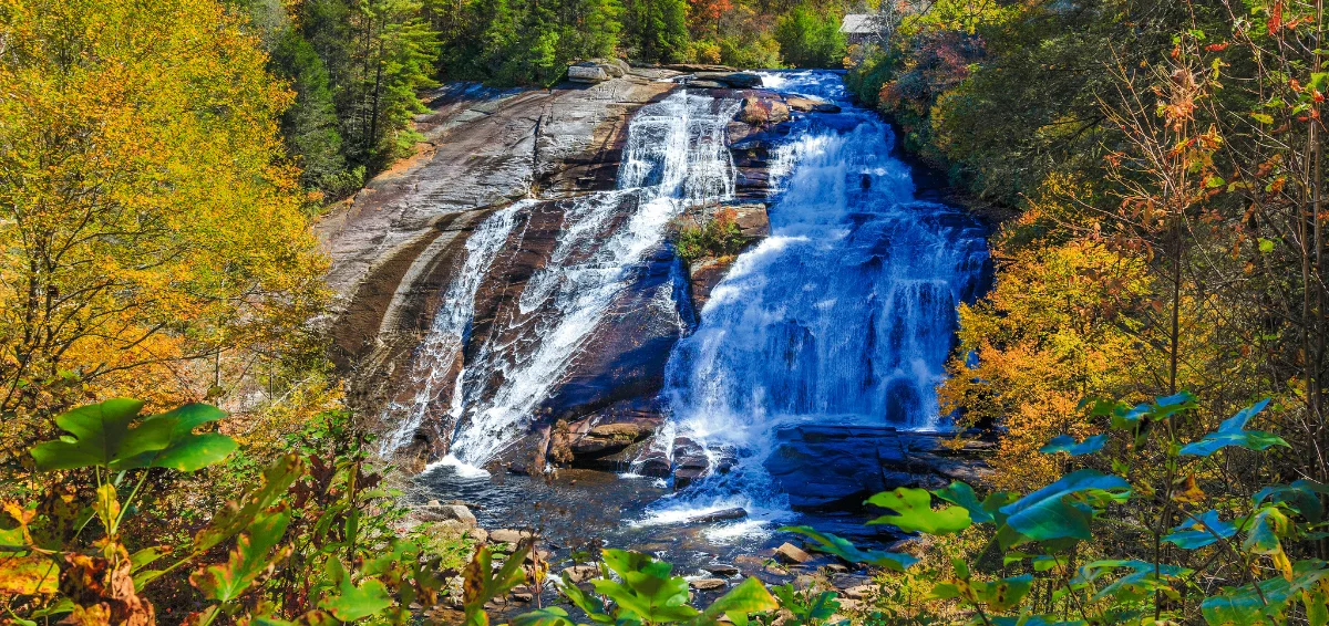 DuPont State Recreational Forest