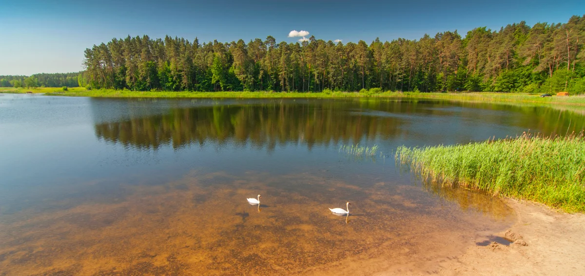 Echo Lake Beach