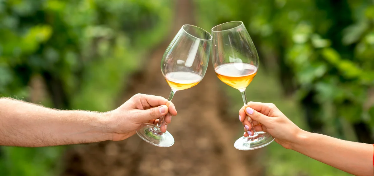 Enjoy Wine at Local Wineries