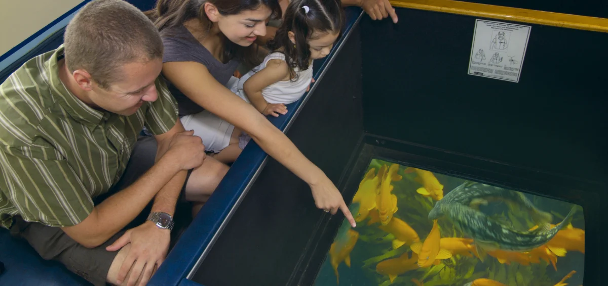 Glass-Bottom Boat Tour