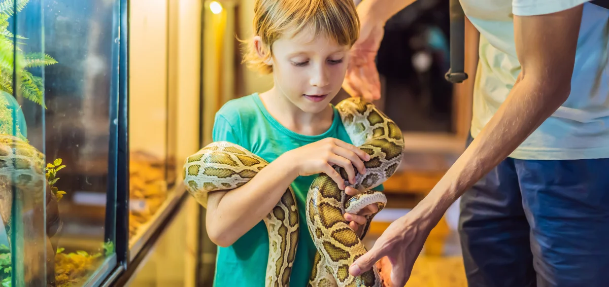 Kentucky Reptile Zoo