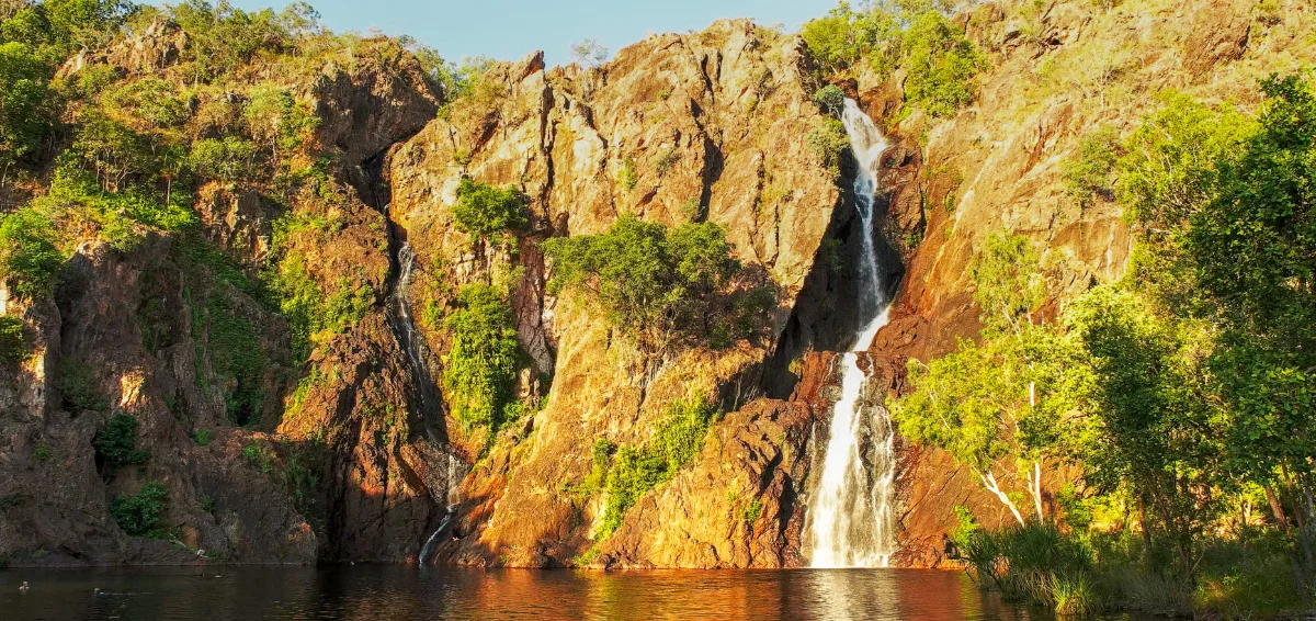 Lagodekhi National Park