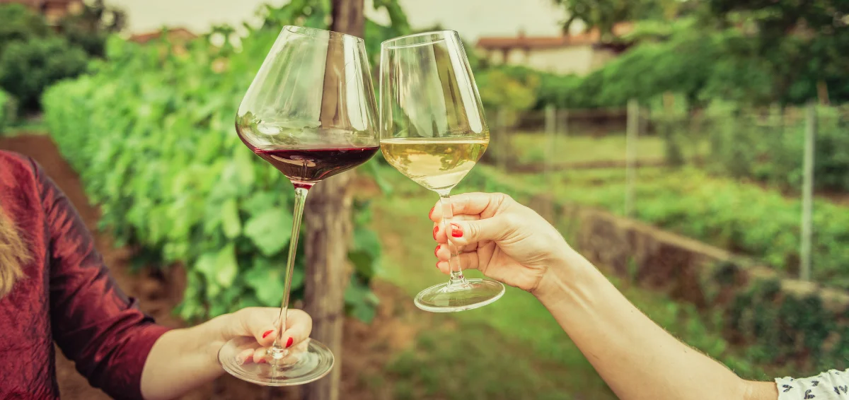 Lancaster County Wineries and Tasting Rooms