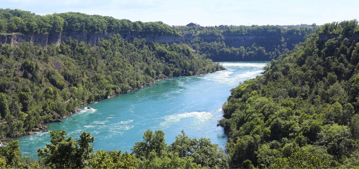 Niagara Glen Nature Reserve