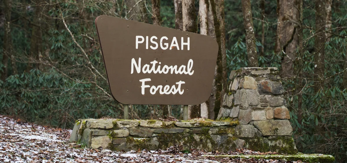 Pisgah National Forest