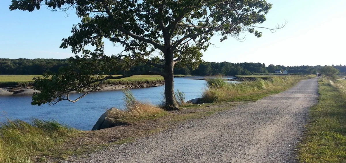 Take a Serpentine Walk on the Eastern Trail