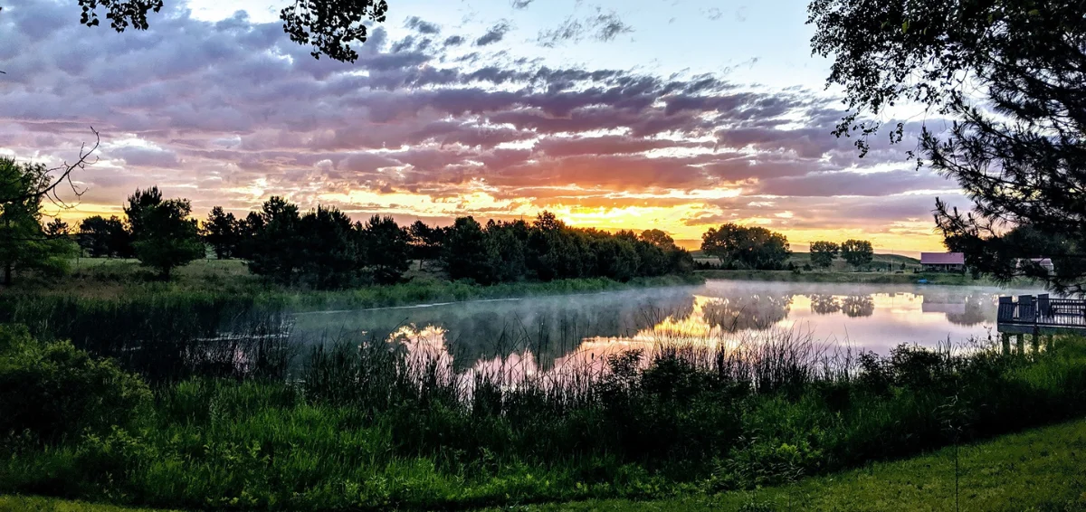 The Nebraska National Forest