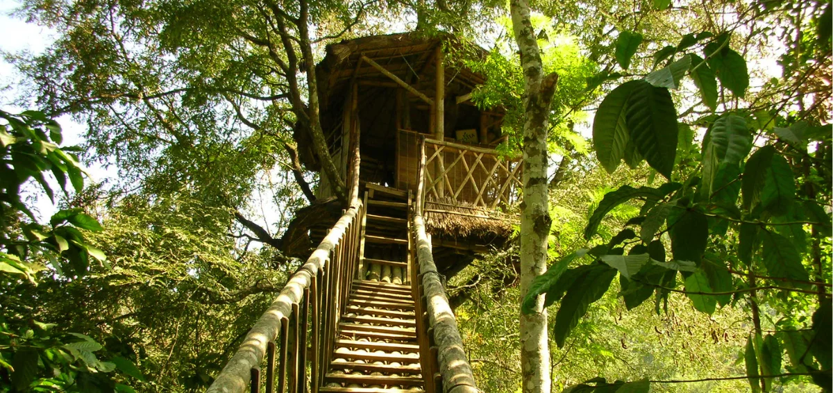 The Treehouse Camp at Maple Tree Campground