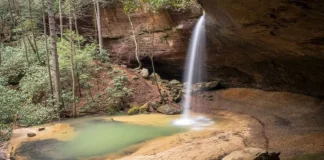 Things To Do In Red River Gorge