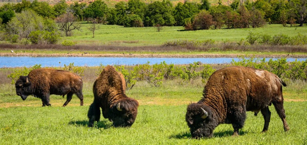 Valentine National Wildlife Refuge