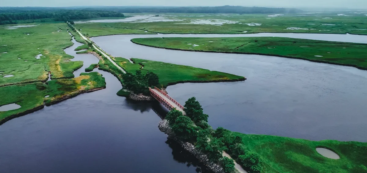 Visit the Scarborough Marsh Audubon Center