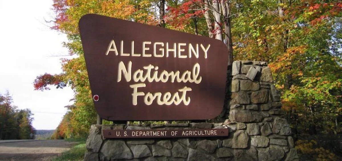 Allegheny National Forest, Pennsylvania