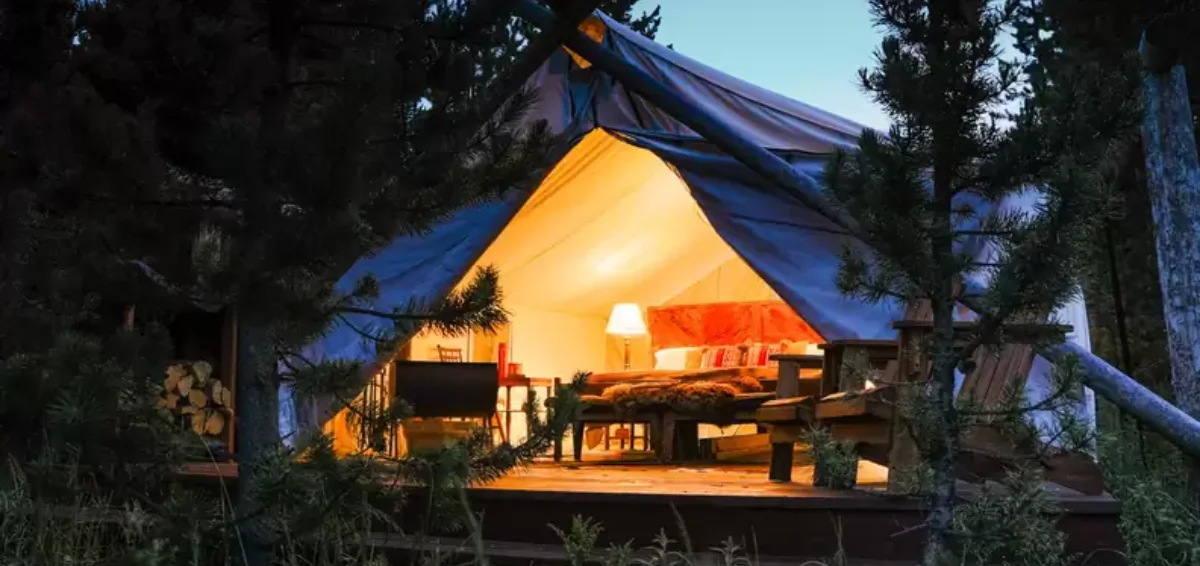 Camp or Picnic at the Yellowstone State Forest