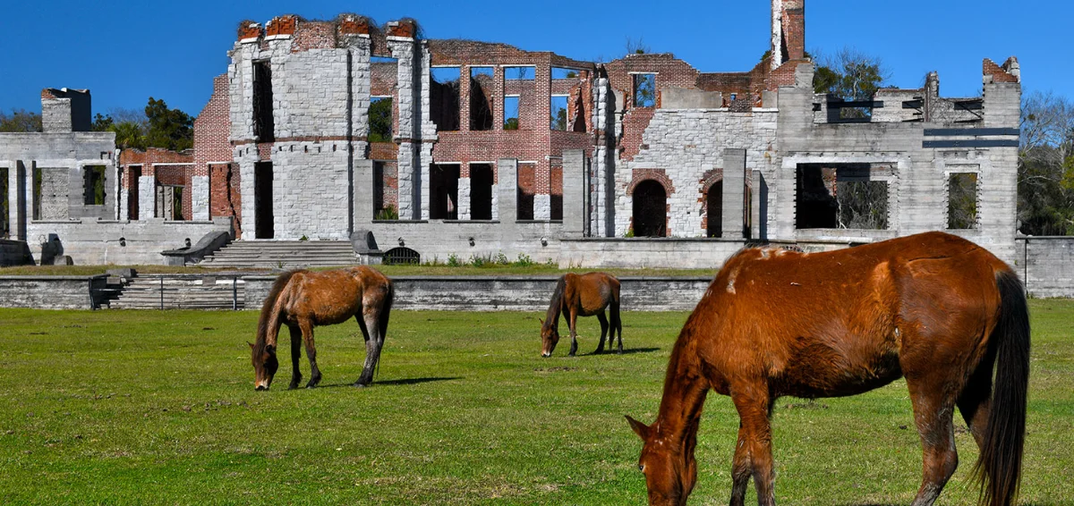 Cumberland Island