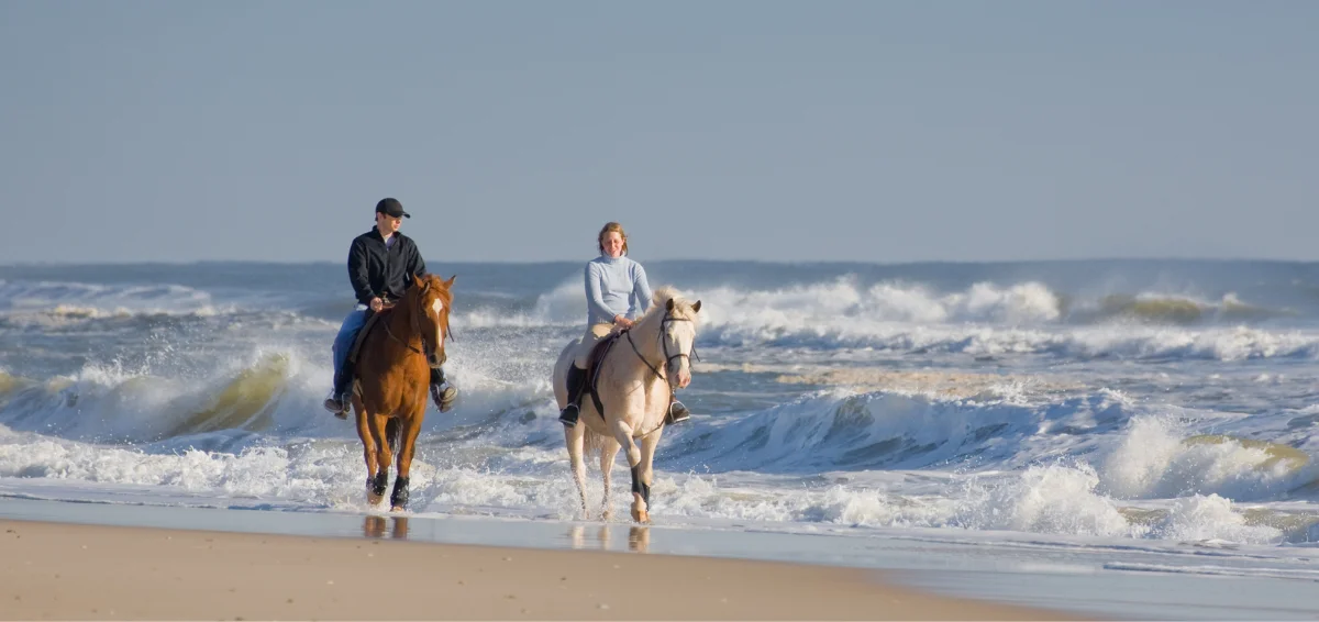 Enjoy Aquatic Horseback Riding