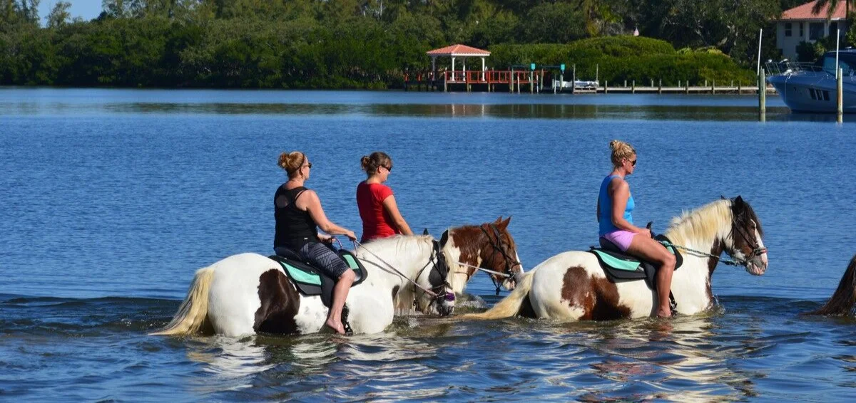 Enjoy Aquatic Horseback Riding