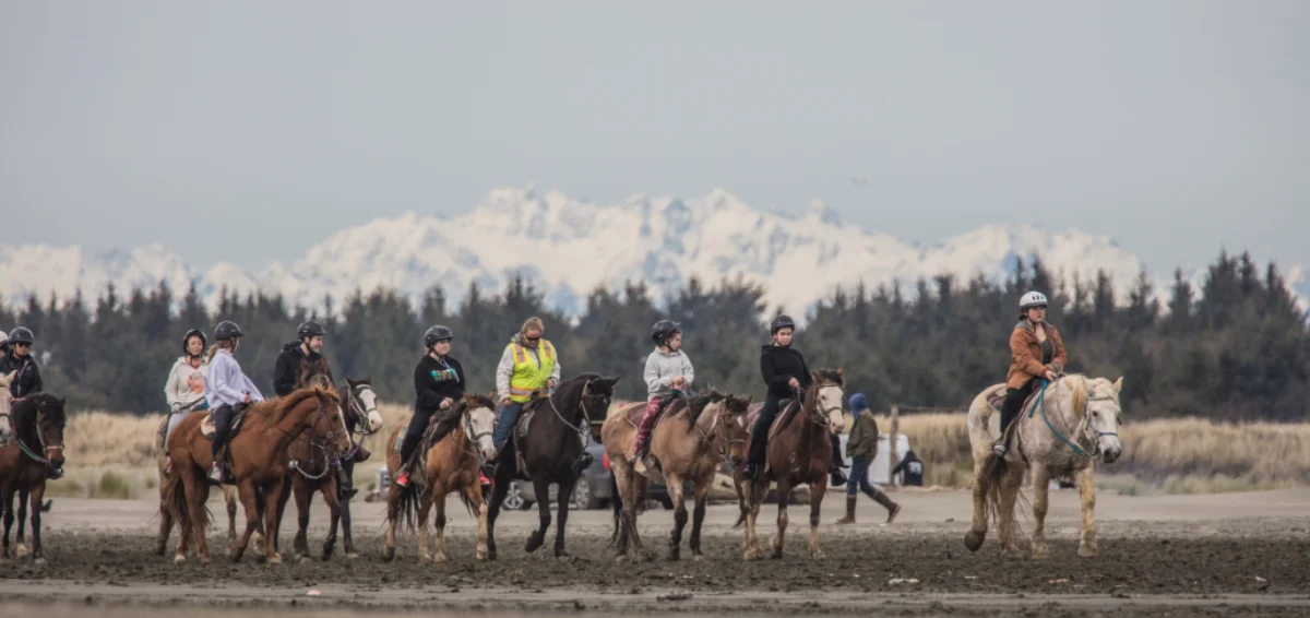 Enjoy Horseback Rides at Honey Pearl Ranch