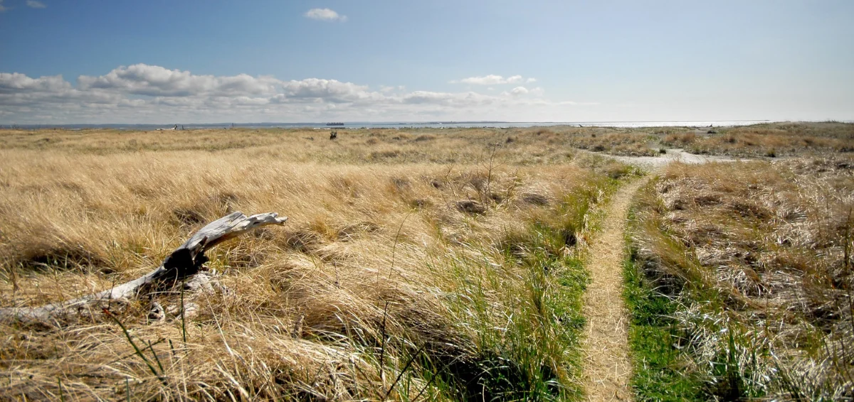 Enjoy Nature at Oyhut Wildlife Recreation Area