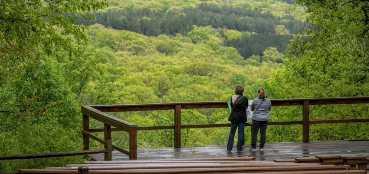 Explore Brown County State Park