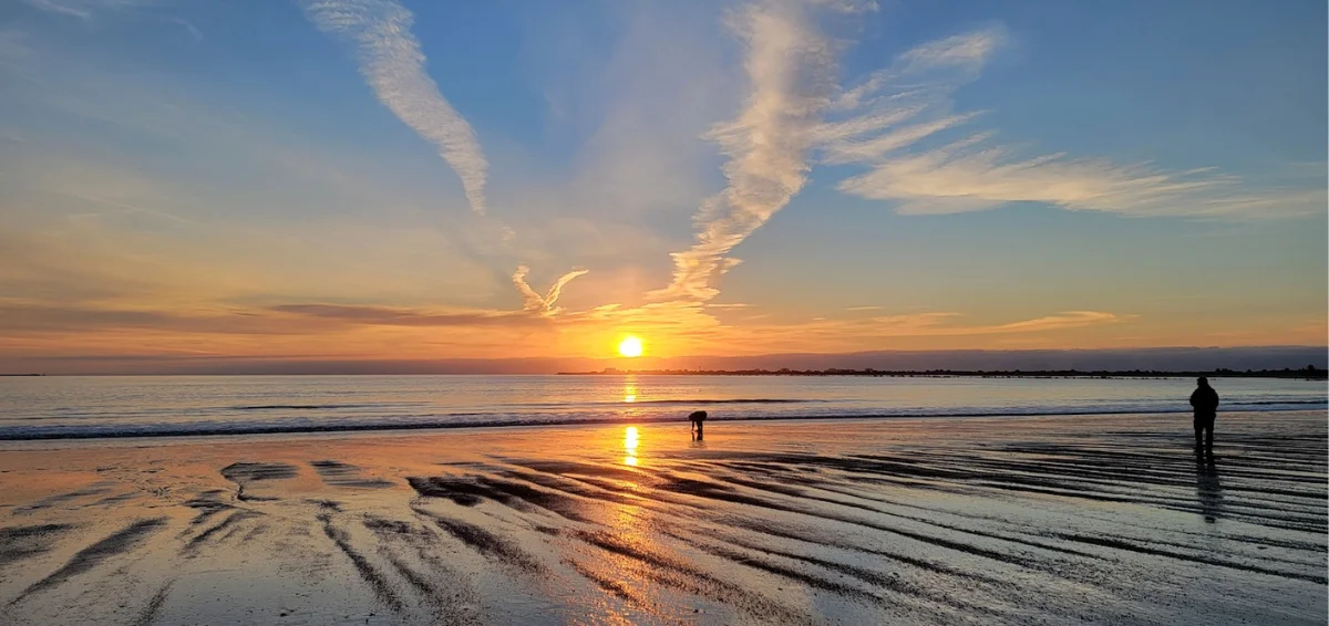 Explore The Beach