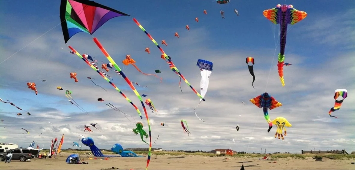 Fly Kites