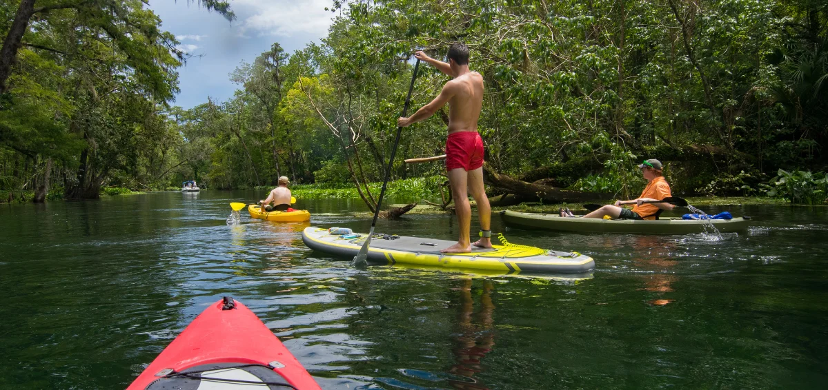 Go for Paddle Boarding or Kayaking