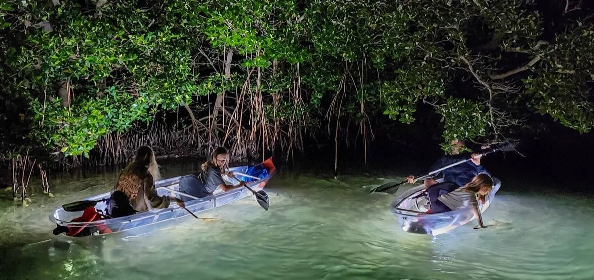 Go on a Glass-Bottom Boat Tour