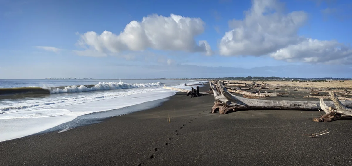 Go on a Hike at Damon Point