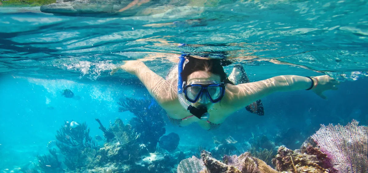 Go on a Snorkelling Tour