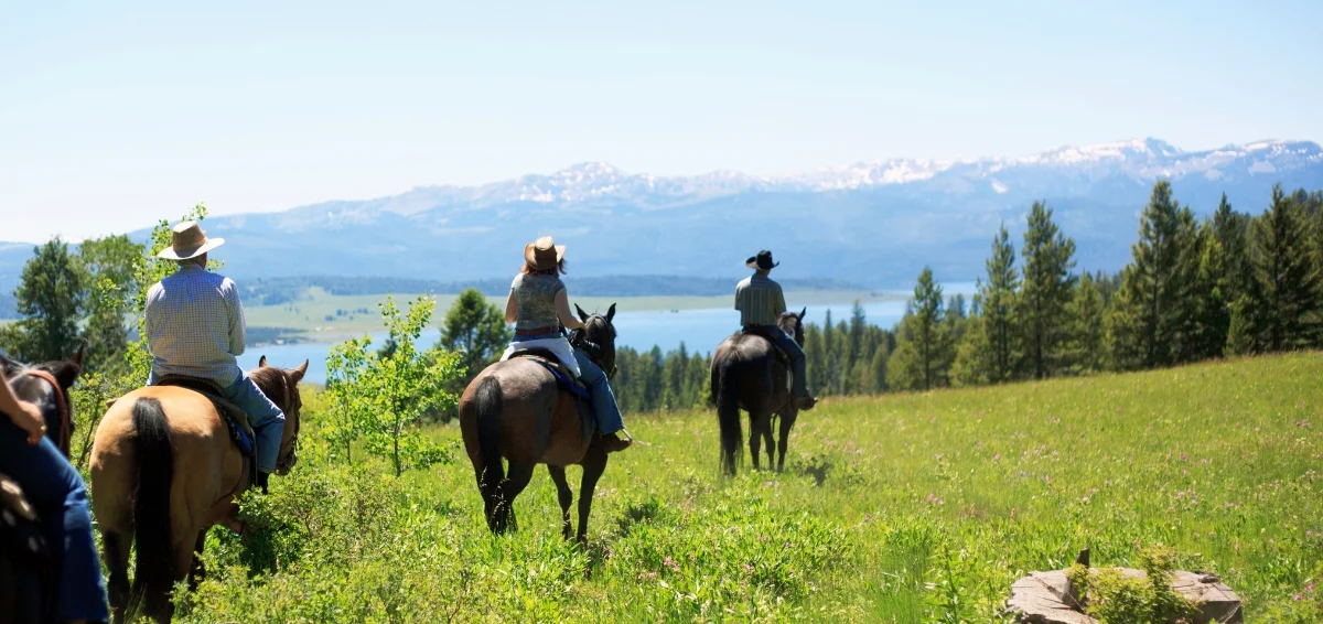 Have fun with horseback riding