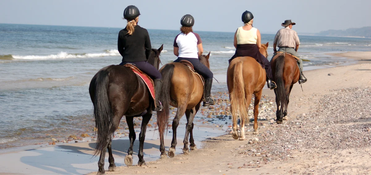 Horse Riding on the Beach