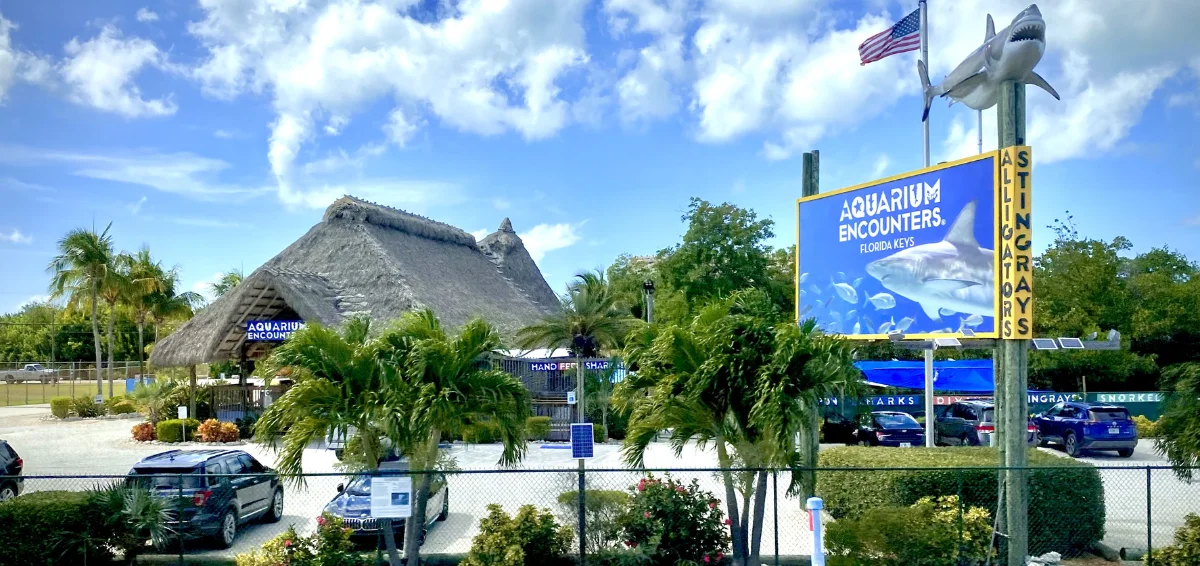 Interact With Marine Life at Florida Keys Aquarium 