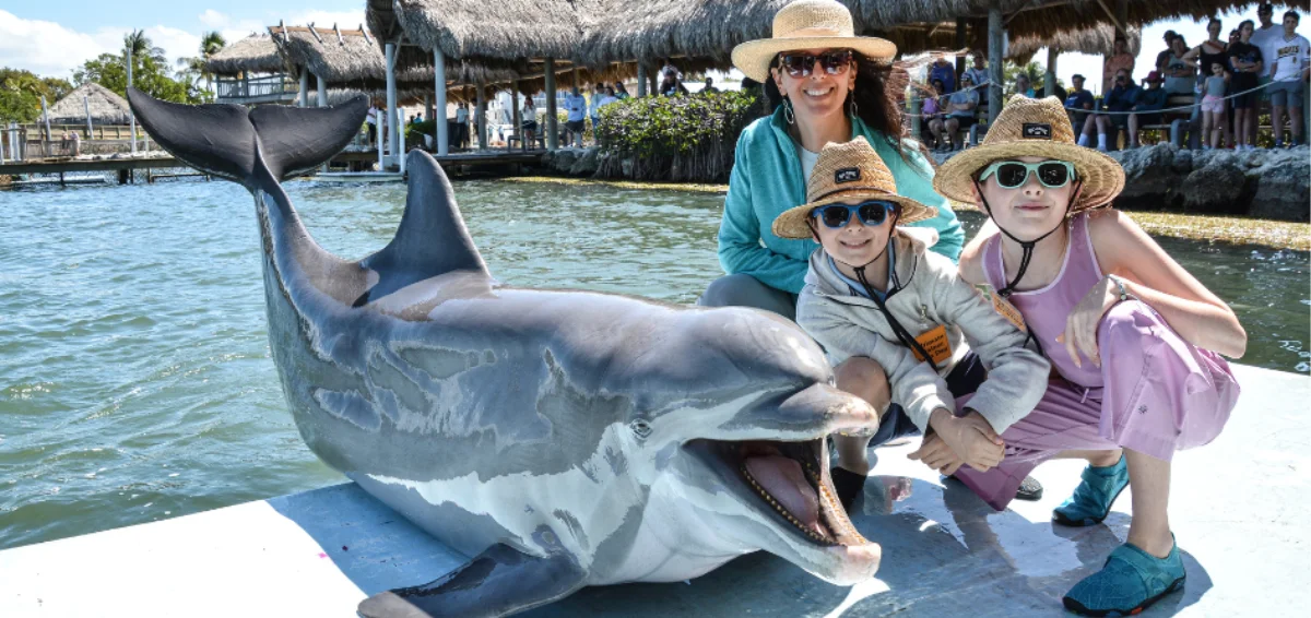 Learn About Dolphins at the Dolphin Research Center